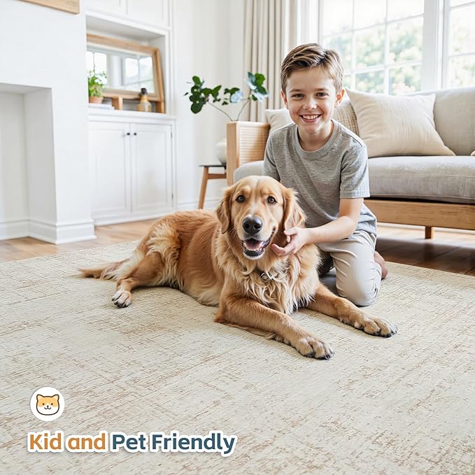 6x9 Area Rugs for Living Room Washable Rug: Anti-Skid Abstract Modern Living Room Rug Soft Thin Carpets Indoor Floor Non-Shedding Carpet for Bedroom Dining Farmhouse Nursery Home Office Beige White