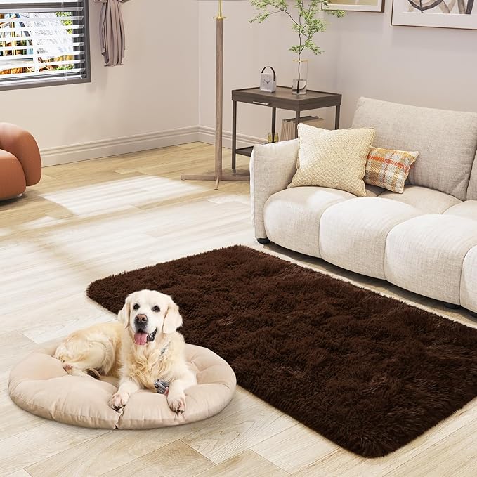 LOCHAS Ultra Soft Indoor Modern Area Rugs 2x4, Fluffy Living Room Carpets for Children Bedroom Home Decor Nursery Rug, Brown