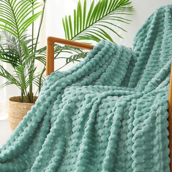 Exclusivo Mezcla Fleece Queen Blanket for Bed, Extra Large Fuzzy Celadon Bed Blankets, Soft Cozy Plush Sofa Throws for All Seasons, 90x90 Inches