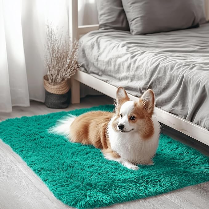OLANLY 2x3 Machine Washable Small Bedside Rug, Soft Fluffy Shaggy Entryway Throw Rugs for Bedroom, Living Room, Indoor Floor Carpet for Kids Girls and Boys, Home Decor Aesthetic, Teal Green