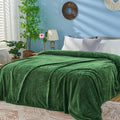 inhand Fleece Queen Blanket for Bed, Super Soft Flannel Cozy Queen Bed Blanket for Adults, Washable Lightweight Fuzzy Bed Blanket for Office, Warm Plush Blankets for All Season (90"×90", Green)