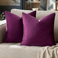 GIGIZAZA Decor Throw Couch Pillow Covers,Set of 2 Sofa Cushion Purple Pillow Covers,Velvet Pillow Cases 24 x 24inch