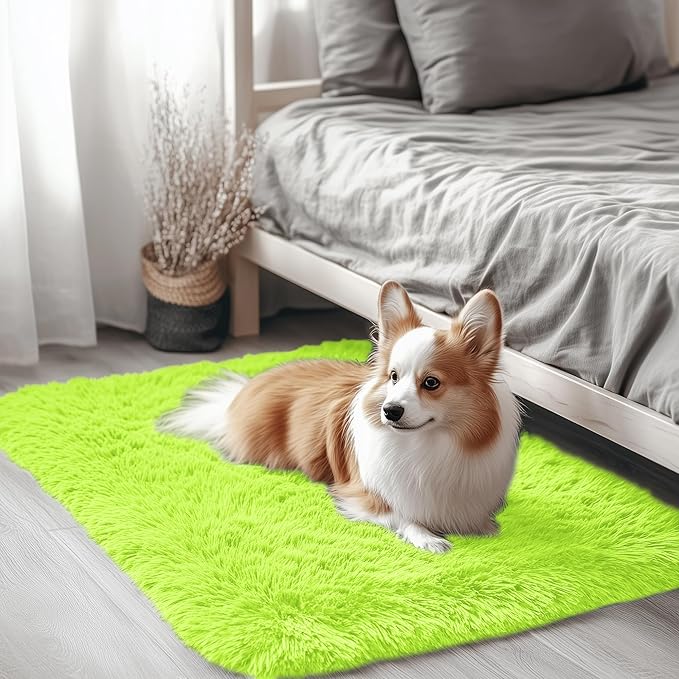 OLANLY 2x3 Machine Washable Small Bedside Rug, Soft Fluffy Shaggy Entryway Throw Rugs for Bedroom, Living Room, Indoor Floor Carpet for Kids Girls and Boys, Home Decor Aesthetic, Lime Green