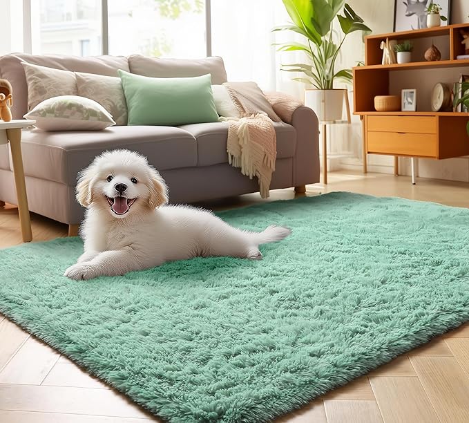 ONASAR Sage Green Area Rugs for Bedroom Living Room, 4x6 Fluffy Cute Indoor Bedside Floor Rug, Ultra Soft Plush Fuzzy Shaggy Carpets for Nursery Kids Girls Boys Teen Dorm Playroom Home Decor