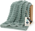 Bedsure GentleSoft Twin Blanket for Couch - Cozy Soft Blankets for Women, Cute Small Fleece Throws for Girls, Sage Green, 60x80 Inches