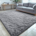 OLANLY 5x6 Area Rugs for Living Room Bedroom, Machine Washable Soft Fluffy Shaggy Bedside Rug, Indoor Floor Carpet for Kids Girls and Boys, Dorms, Nursery Rooms, Home Decor Aesthetic, Light Grey