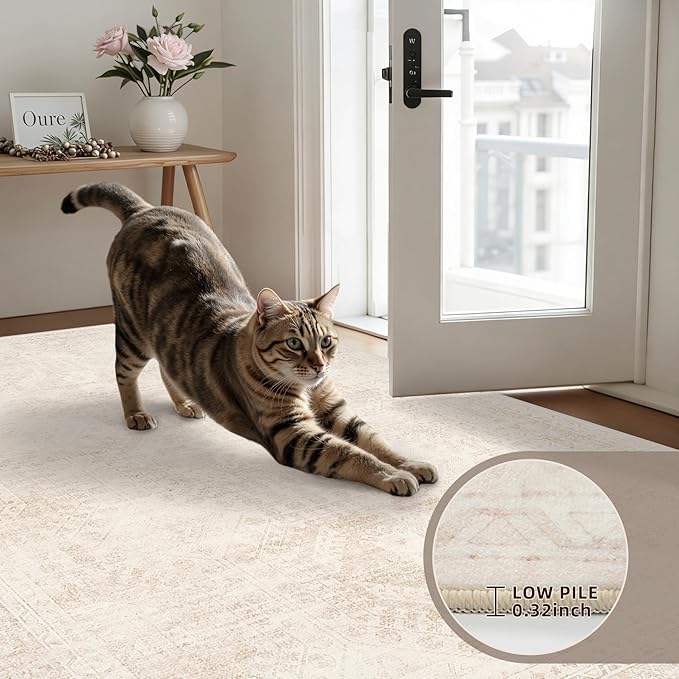 6x9 Area Rugs for Living Room: Vintage Boho Neutral Washable Rug Indoor Soft Large Area Rug Carpet for Bedroom Nursery Farmhouse Dining Room Office Floor Non-Slip Low Pile Under Table Rug Beige
