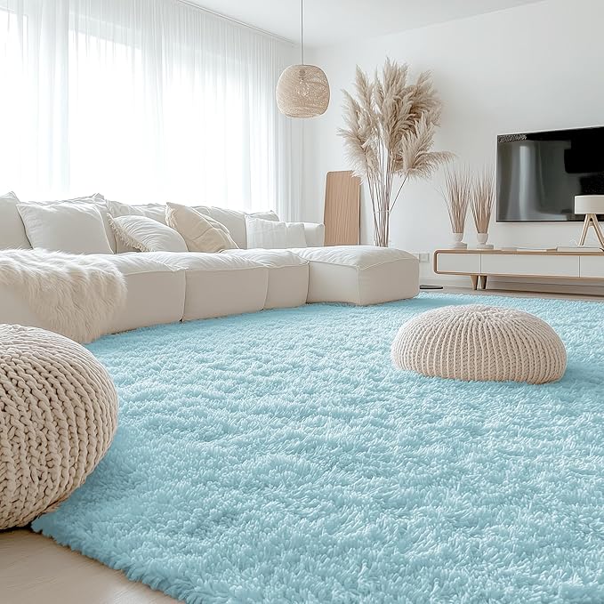 OLANLY 9x12 Machine Washable Large Area Rugs for Living Room, Bedroom, Soft Fluffy Shaggy Bedside Rug, Indoor Floor Carpet for Kids Girls and Boys, Dorms, Nursery, Home Decor Aesthetic, Light Blue