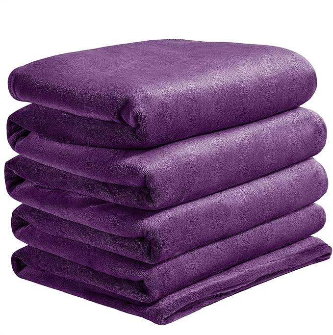 BEDELITE Big Fleece Blanket - 120" x 120" (10' x 10'), Super Soft Fluffy Fuzzy Oversized King Blanket for Bed, Couch, Sofa, Camping,Fits Whole Family,Purple