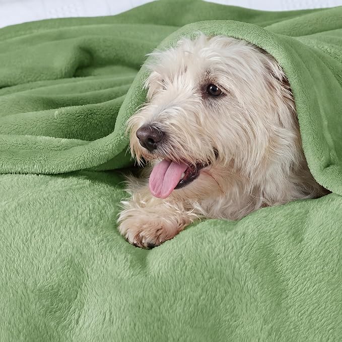 Bedsure GentleSoft Green Fleece Blankets Queen Size - Bed Blanket Soft Lightweight Plush Fuzzy Cozy Luxury Microfiber, Emerald, 90x90 inches