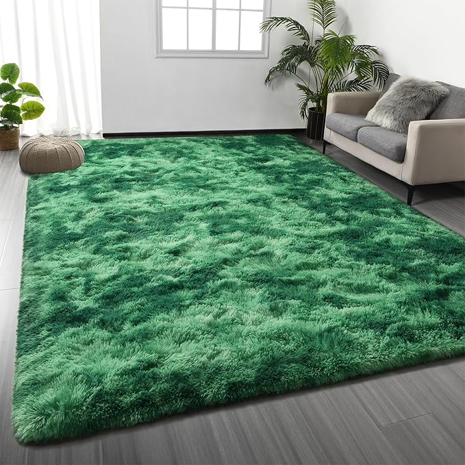 Shag Area Rug, 4 X 6 Tie-Dyed Plush Fuzzy Rugs for Living Room, Ultra Soft Fluffy Furry Rug for Bedroom, Indoor Carpet Nursery Rugs for Kids Room Home Decor, Tie-Dyed Emerald Green