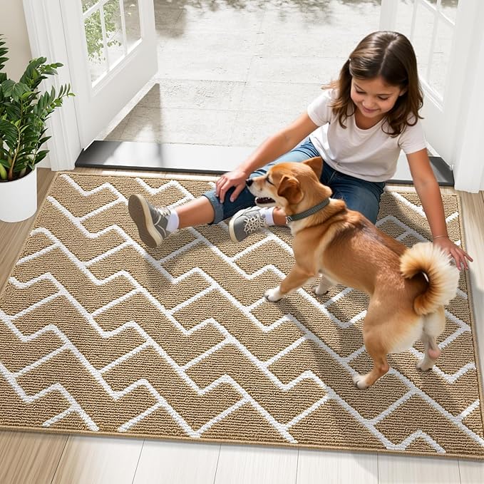 OLANLY Front Door Mat, Non-Slip Rubber Backing, Dirt Resistant and Absorbent, Washable, Easy to Clean Low-Profile Indoor Doormat for Back Door, Entryway, Inside Entrance, 48x32, Beige