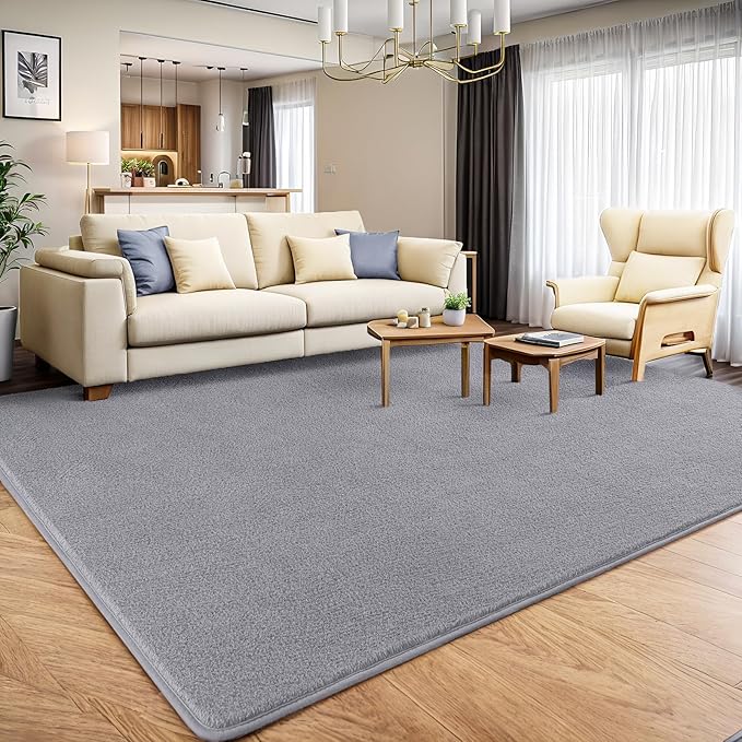 AROGAN 4x6 Feet Shag Area Rugs for Bedroom, Modern Washable Rugs for Living Room, Indoor Floor Carpet, Plush Memory Foam Bedside Rugs for Kids Girls Teens Room Low Pile Rug Decor, Grey