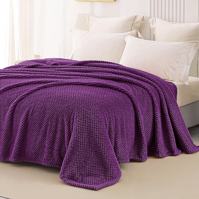 Whale Flotilla Twin Size Fuzzy Fleece Blanket for Bed, 60x80 Inch Fluffy Warm Soft Jacquard Blankets for All Season, Lightweight and Cozy, Purple