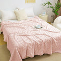 Aganear Blanket Queen Size - Fuzzy Cozy Sof Blanket for Couch, Sofa, Bed, Office, Decorative Present for All Seasons, Portable Throw Blankets for Couch, Sofa, Bed(90"x90", Pink)