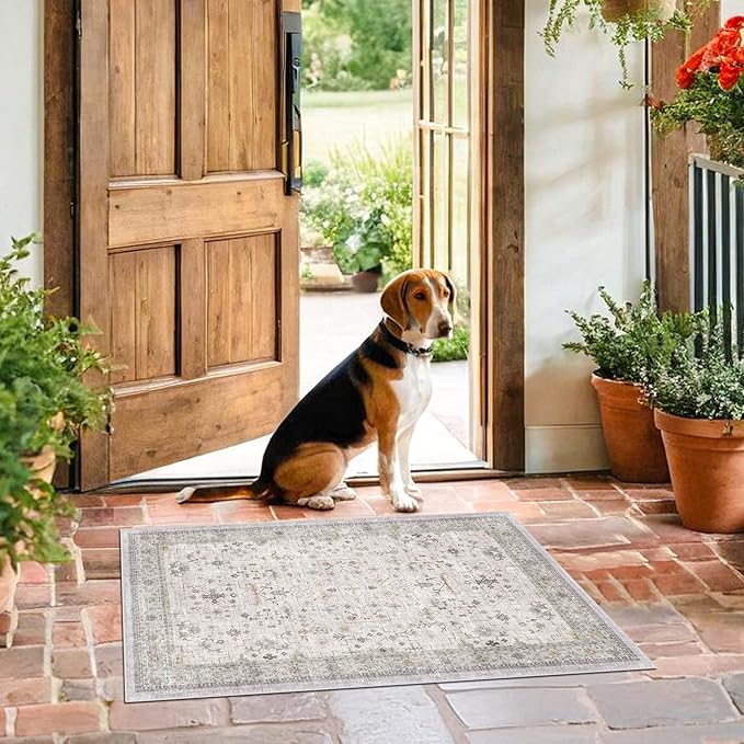 Washable 2x3 Throw Rugs for Entryway, Front Door Mat, Low Pile Non-Slip Small Area Rugs for Kitchen, Bathroom, Powder Room, Mudroom, Neutral Light Grey with Floral Accent