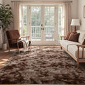 4x6 Ft Shag Brown Area Rug for Bedroom Living Room, Tie-Dyed Ultra Soft Fluffy Furry Rugs for Indoor Floor, Aesthetic Carpet for Kids Home Decor (Coffee)