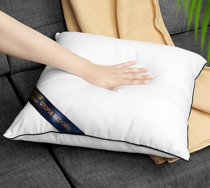 Utopia Bedding Throw Pillow Inserts (Pack of 4, White), 22 x 22 Inches Decorative Indoor Pillows for Sofa, Bed, Couch, Cushion Sham Stuffer