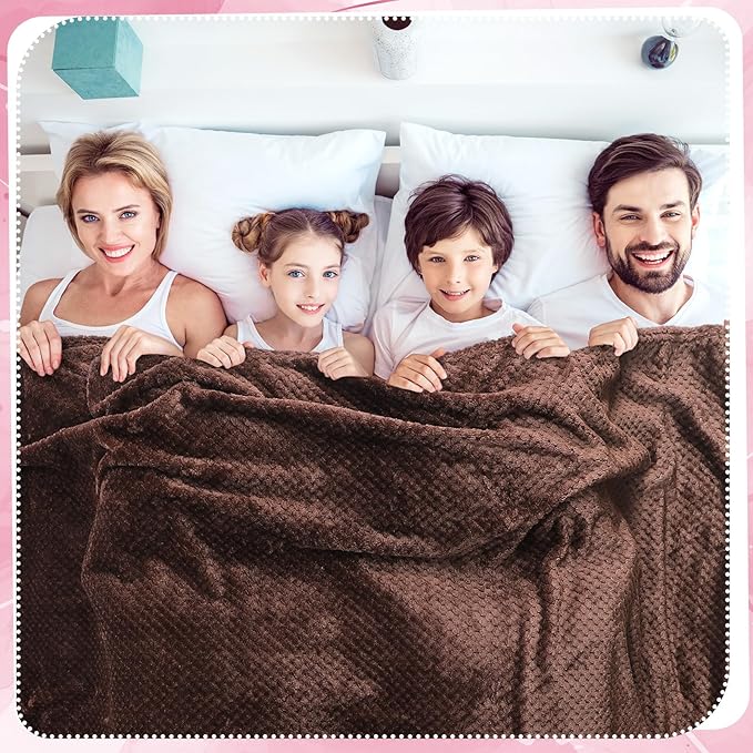 Newwiee 4 Pcs Flanne Fleece Throw Blanket for Bed Couch Large 3D Waffle Textured Soft Blanket Winter Warm Lightweight No Shedding No Pilling Decorative Throw, 50x60 Inch(Graceful Color)