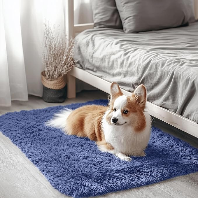 OLANLY 2x3 Machine Washable Small Bedside Rug, Soft Fluffy Shaggy Entryway Throw Rugs for Bedroom, Living Room, Indoor Floor Carpet for Kids Girls and Boys, Home Decor Aesthetic, Denim Blue