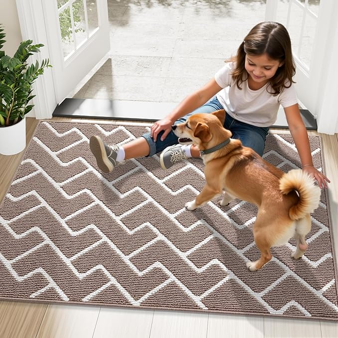 OLANLY Front Door Mat, Non-Slip Rubber Backing, Dirt Resistant and Absorbent, Washable, Easy to Clean Low-Profile Indoor Doormat for Back Door, Entryway, Inside Entrance, 36x24, Brown
