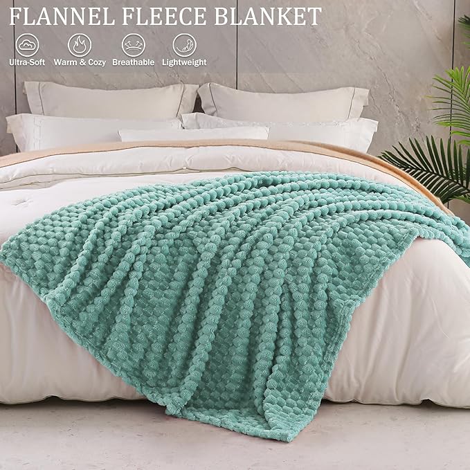 Exclusivo Mezcla Fleece Queen Blanket for Bed, Extra Large Fuzzy Celadon Bed Blankets, Soft Cozy Plush Sofa Throws for All Seasons, 90x90 Inches