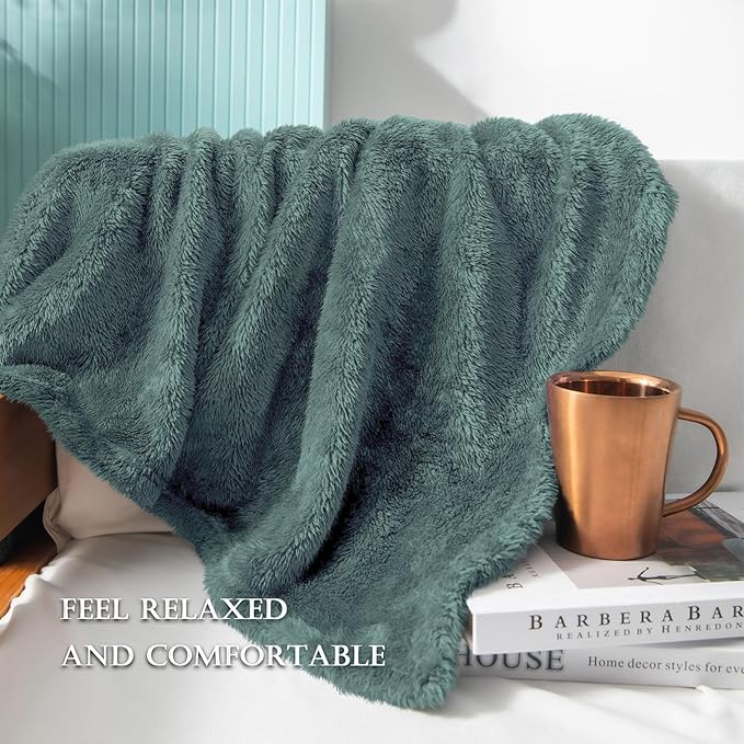Exclusivo Mezcla Plush Fuzzy Fleece Bed Blanket King Size, Super Soft, Fluffy and Warm Blankets for Couch, Bed, All Season (Celadon, 90x104 inches)