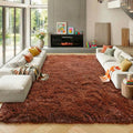 ONASAR Brown 8x10 Area Rugs for Living Room, Large Fluffy Shag Bedroom Rug, Soft Plush Thick Shaggy Big Floor Carpet for Kids Boy and Girls Teen Dorm Nursery Indoor Home Decor Aesthetic
