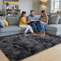 Pionblank Fluffy Area Rug for Bedroom 4x6 Feet, Indoor Plush Carpet, Shag Soft Bedside Rug, Cute Comfy Furry Rug for Living Room Dorm Girls Boys Room Nursery Decor, Dark Grey