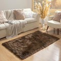 Ashler Faux Fur Rug - Fluffy Shaggy Area Rug, Ultra Soft 3 x 5 Feet Sheepskin Fur, Dark Coffee Fuzzy Machine Washable Shag, Nursery Decor Throw for Bedroom, Living Room, Kids Room