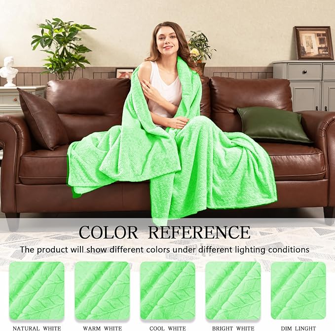 inhand Mint Green Fleece Throw Blanket for Couch, Super Soft Flannel Blanket, Lightweight Fuzzy Blankets Sofa Bed Office, Washable Cozy Plush Fleece Blankets&Throw for All Season(50x60 Inches)