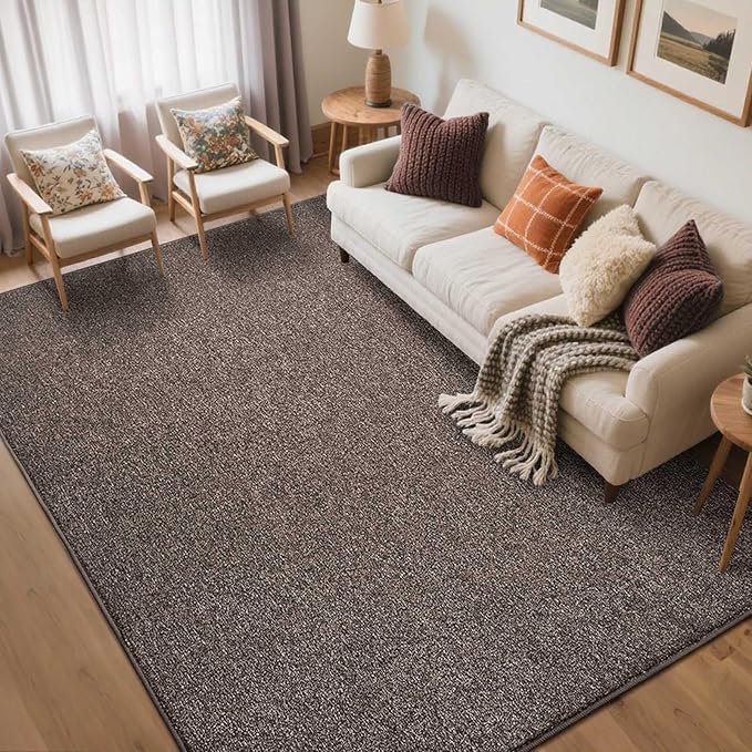 FinRèc Low Pile 5x7 Washable Area Rugs for Bedroom Living Room, Thin Rug Solid Color, Non-Slip Carpet Indoor for Home Decor (Brown)
