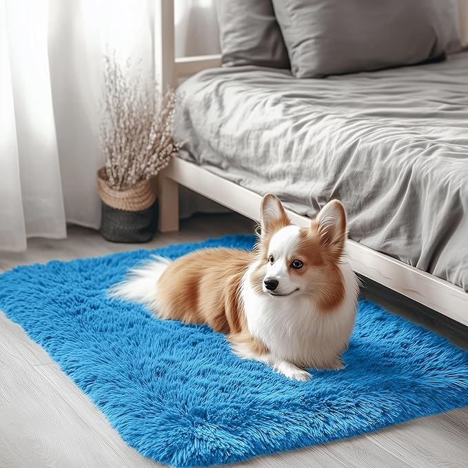 OLANLY 2x3 Machine Washable Small Bedside Rug, Soft Fluffy Shaggy Entryway Throw Rugs for Bedroom, Living Room, Indoor Floor Carpet for Kids Girls and Boys, Home Decor Aesthetic, Bright Blue