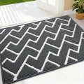 OLANLY Front Door Mat, Non-Slip Rubber Backing, Dirt Resistant and Absorbent, Washable, Easy to Clean Low-Profile Indoor Doormat for Back Door, Entryway, Inside Entrance, 36x24, Charcoal