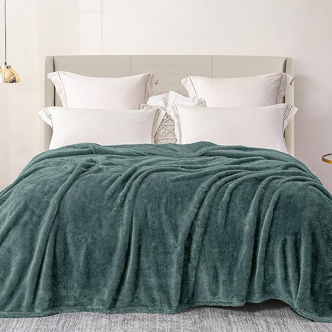 Exclusivo Mezcla Plush Fuzzy Fleece Bed Blanket Queen Size, Super Soft, Fluffy and Warm Blankets for Couch, Bed, All Season (Celadon, 90x90 inches)