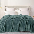 Exclusivo Mezcla Plush Fuzzy Fleece Bed Blanket Queen Size, Super Soft, Fluffy and Warm Blankets for Couch, Bed, All Season (Celadon, 90x90 inches)