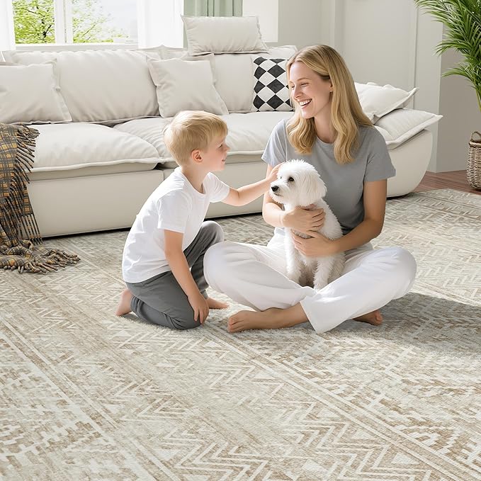 6x9 Area Rugs Washable Rug: Anti-Skid Abstract Modern Living Room Rug Soft Thin Carpets Indoor Floor Non-Shedding Carpet for Bedroom Dining Farmhouse Nursery Home Office (Beige/Light Brown, 6'x9')