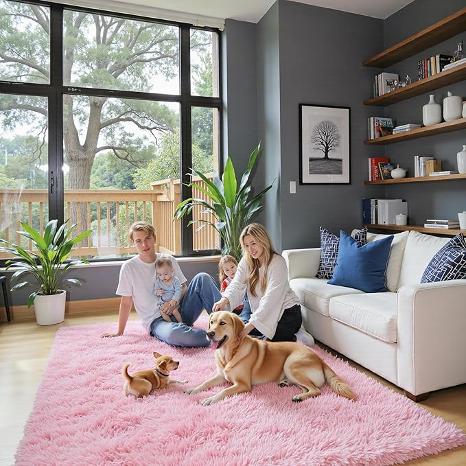 Small Rug Throw Rugs for Bedroom, Mini Area Rug, Fluffy Pink Carpet, Affordable Door Entryway Indoor Inside Front Entrance Dog 2x3 Mat, Home Decor Aesthetic(2 x 3, Pink)