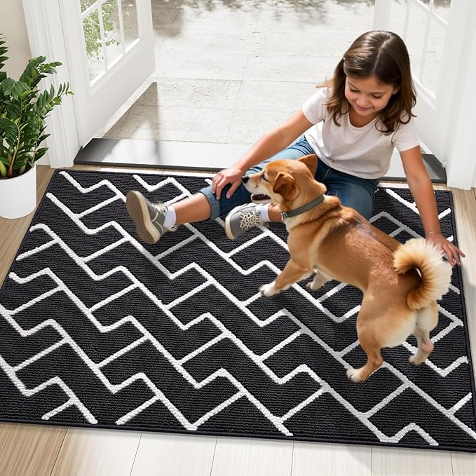 OLANLY Front Door Mat, Non-Slip Rubber Backing, Dirt Resistant and Absorbent, Washable, Easy to Clean Low-Profile Indoor Doormat for Back Door, Entryway, Inside Entrance, 48x32, Deep Black