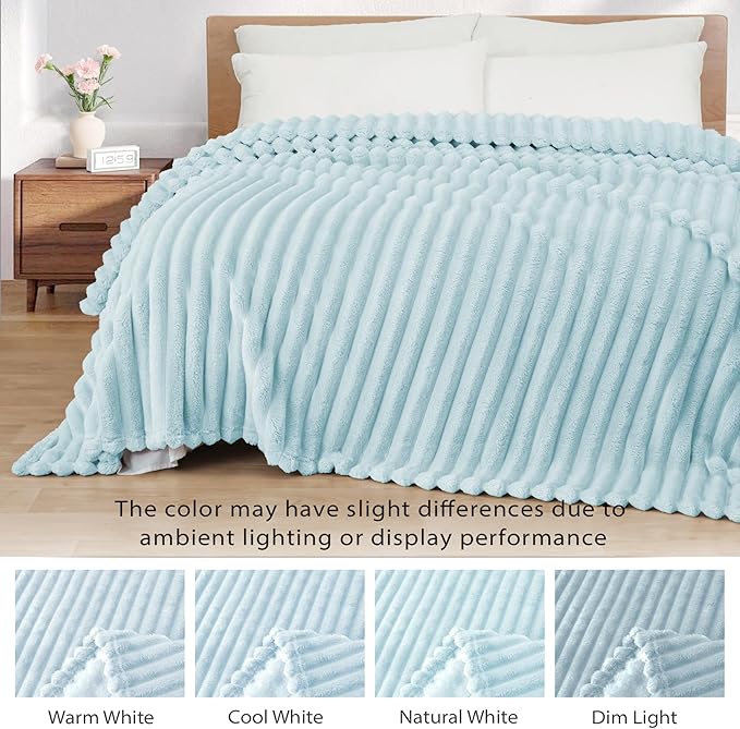 Exclusivo Mezcla Twin Size Flannel Fleece Blanket, Super Soft Striped Jacquard Bed Blanket, Lightweight Fuzzy Cozy for All Seasons, 60x80 Inches, Light Blue