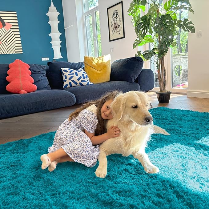 OLANLY 8x10 Machine Washable Large Area Rugs for Living Room, Bedroom, Soft Fluffy Shaggy Bedside Rug, Indoor Floor Carpet for Kids Girls and Boys, Dorms, Nursery, Home Decor Aesthetic, Teal