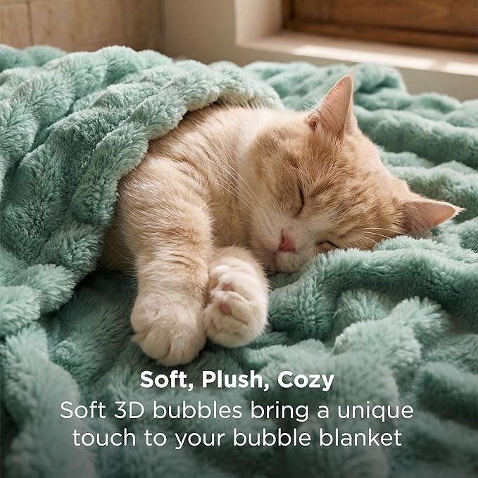 Bedsure 3D Fleece Bubble Blanket - GentleSoft Green King Blanket for Bed Sofa Room Decor - Luxury Soft Cozy Gifts for Kids, Lightweight, All Seasons, Sage Green, 108"×90"