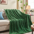 inhand Fleece Twin Blanket for Bed Green Throw Blanket for Couch Super Soft Cozy Warm Blankets and Throws Lightweight Fuzzy Large Blanket for Sofa Bed Office,60x90 inches
