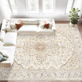 Area Rugs 8x10 Vintage Rug: Large Washable Living Room Rug Retro Medallion Distressed Soft Low Pile Non-Slip Indoor Floor Carpet for Bedroom Kitchen Nursery Dining Office (BeigeBrown, 8'x10')