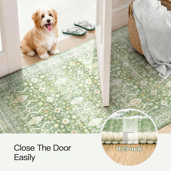Lofus 3x5 Area Rug for Entryway, Light Green Non Slip Area Rugs for Kitchen, Washablee Soft Rugs for Bedroom, Living Room, Tool Room Nursery Kids Room Decor