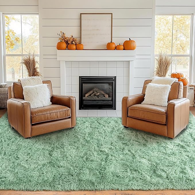 Pionblank Fluffy Large Rug for Living Room 6x9 Feet, Modern Soft Shag Area Rug, Plush Fuzzy Carpet for Bedroom Girls Boys Room Home Nursery Teens Dorm Decor, Mint Green