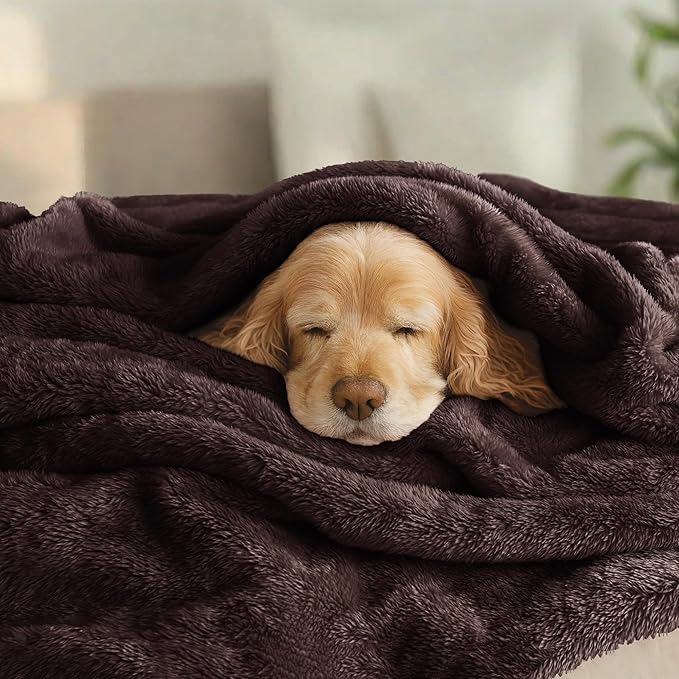 Exclusivo Mezcla Plush Fuzzy Fleece Bed Blanket King Size, Super Soft, Fluffy and Warm Blankets for Couch, Bed, All Season (Coffee, 90x104 Inches)