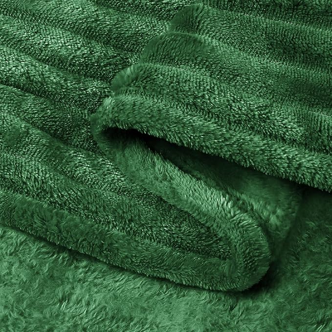 BEDELITE Fleece Blanket Queen Size – 3D Ribbed Jacquard Soft and Warm Decorative Fuzzy Blankets – Cozy, Fluffy, Plush Lightweight Throw Blankets for Couch, Bed, Sofa(Green, 90x90 inches)