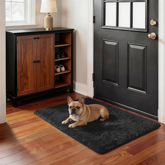 Ophanie Small Black Entryway Throw Rugs for Bedroom, 2x3 Mini Area Rug, Affordable Non Slip Fluffy Carpet, Fuzzy Soft Living Room Rugs, Home Decor Aesthetic, Nursery