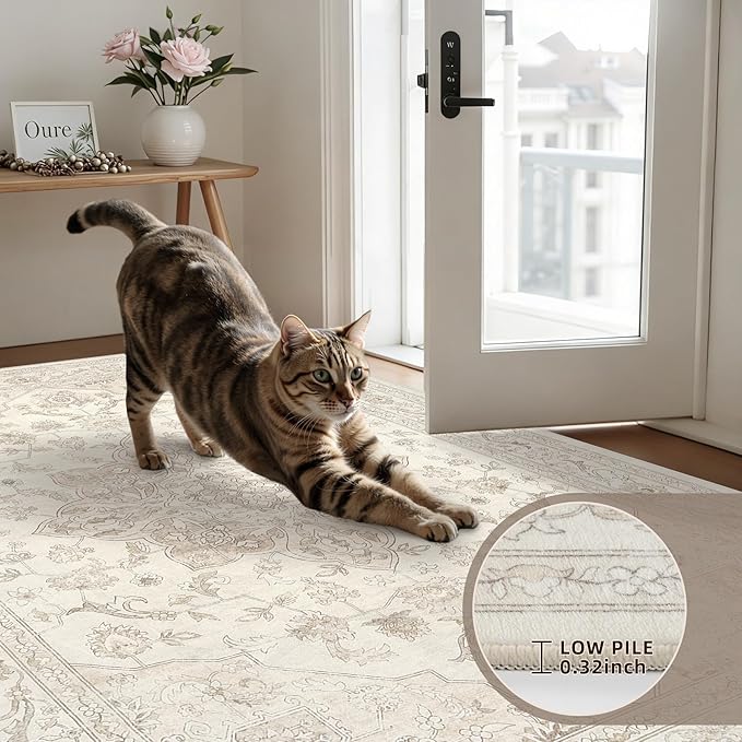 5x7 Area Rugs for Living Room: Vintage Boho Neutral Washable Rug Indoor Soft Large Area Rug Carpet for Bedroom Nursery Farmhouse Dining Room Office Floor Non-Slip Low Pile Under Table Rug Beige White